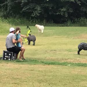 Meet your Posher, Aaron